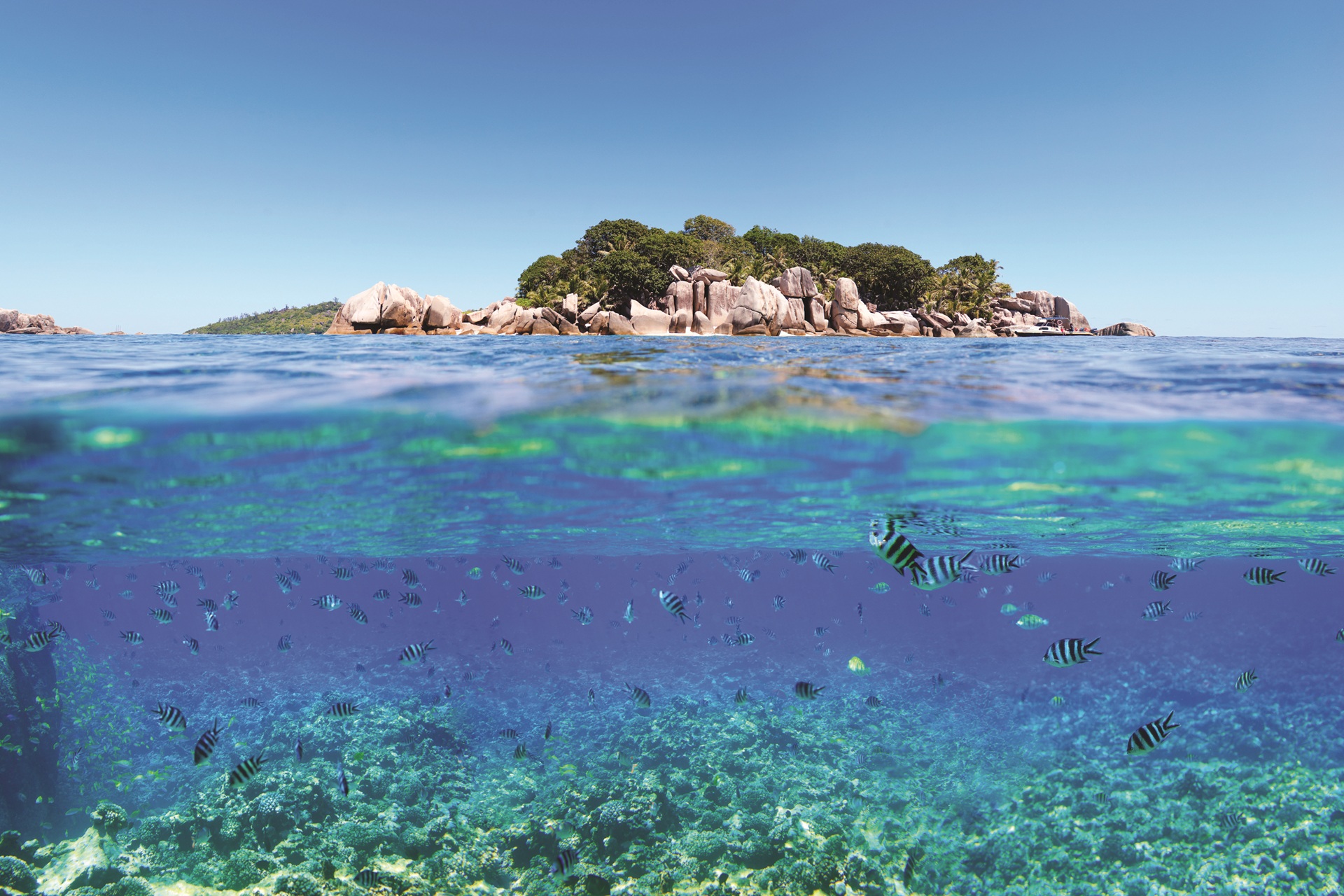 Seychelles 111971706 1920x1280